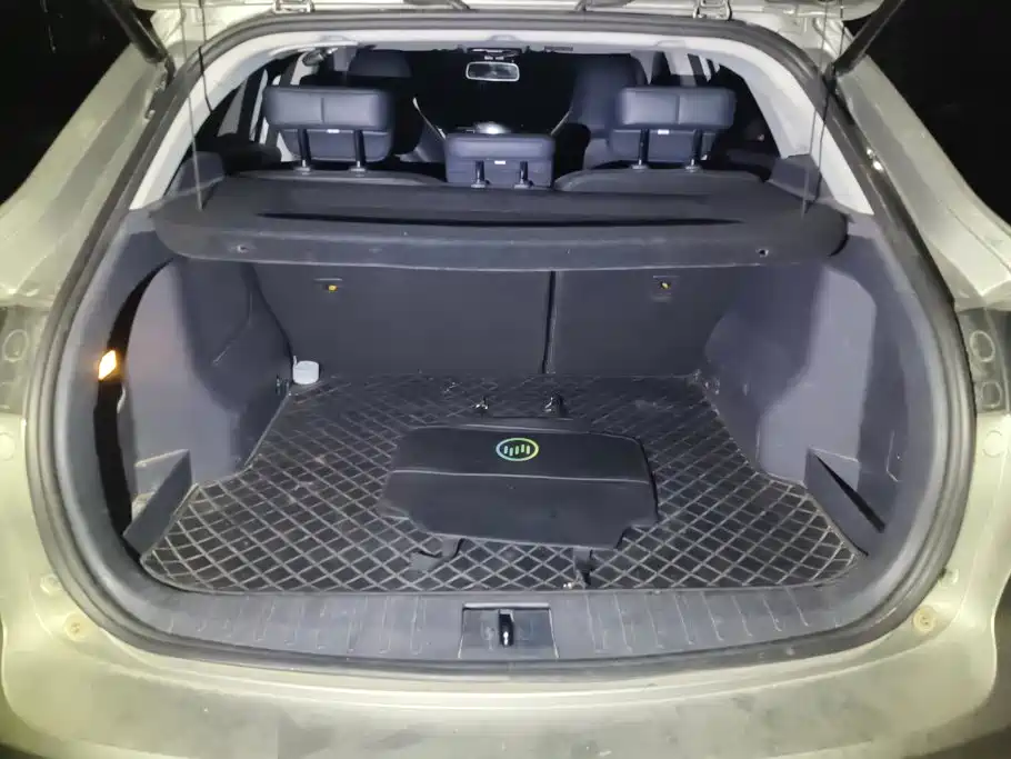 WM Motor EX5 — миниатюра 4