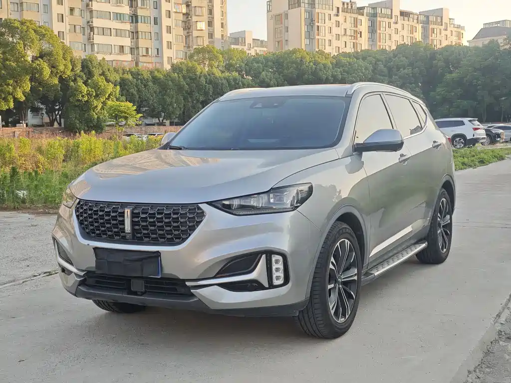 Купить Wey Wey VV6