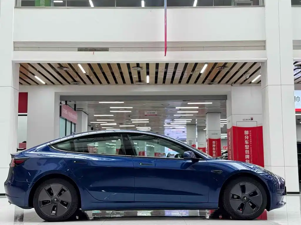 Tesla Model 3 2021 3D6
