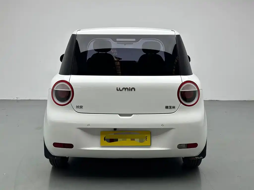Qiyuan Lumin — миниатюра 8