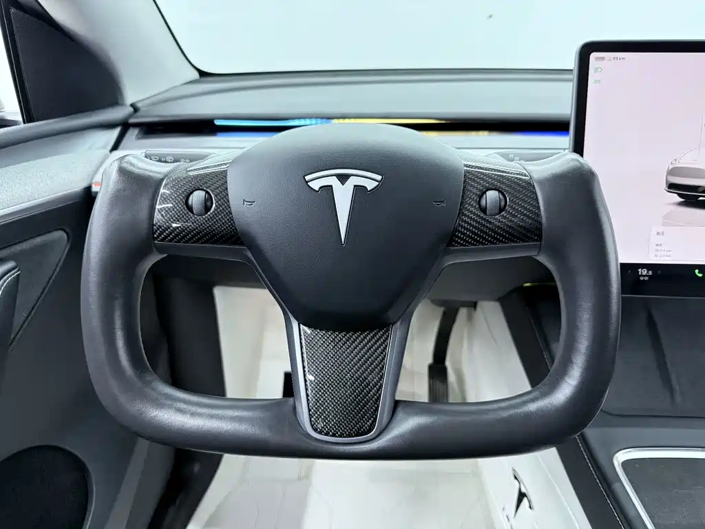 Tesla Model Y — миниатюра 5