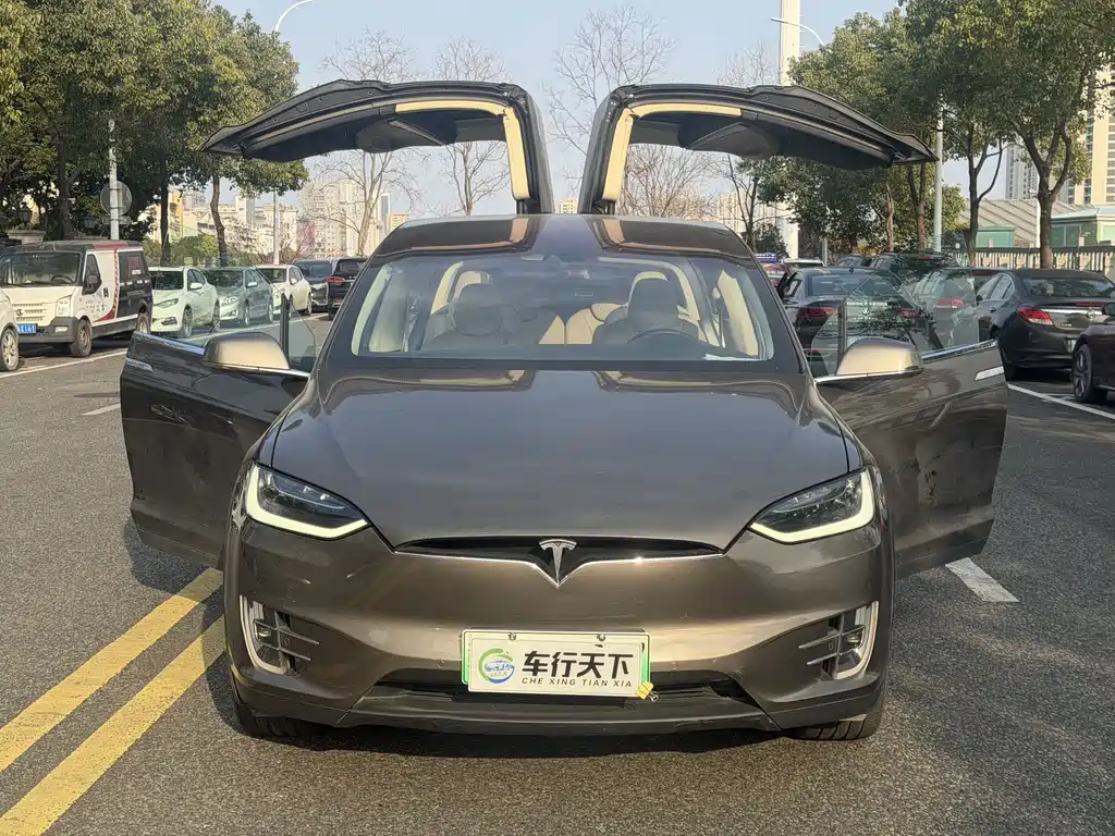 TESLA MODEL X