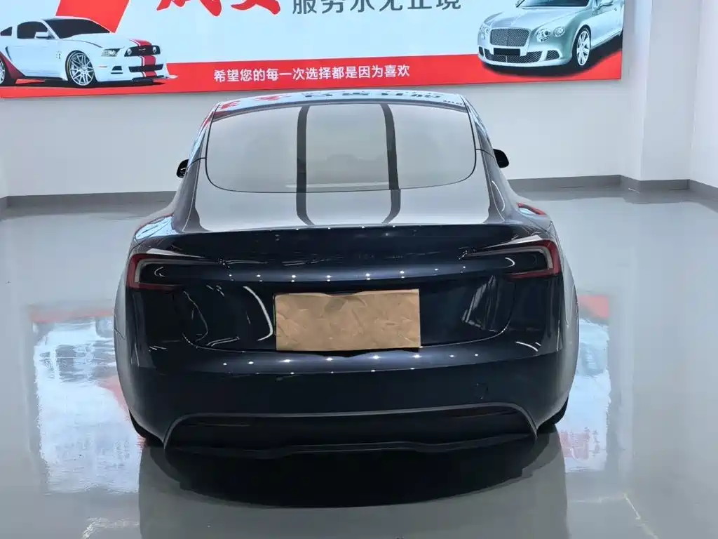 Tesla Model 3 — миниатюра 14