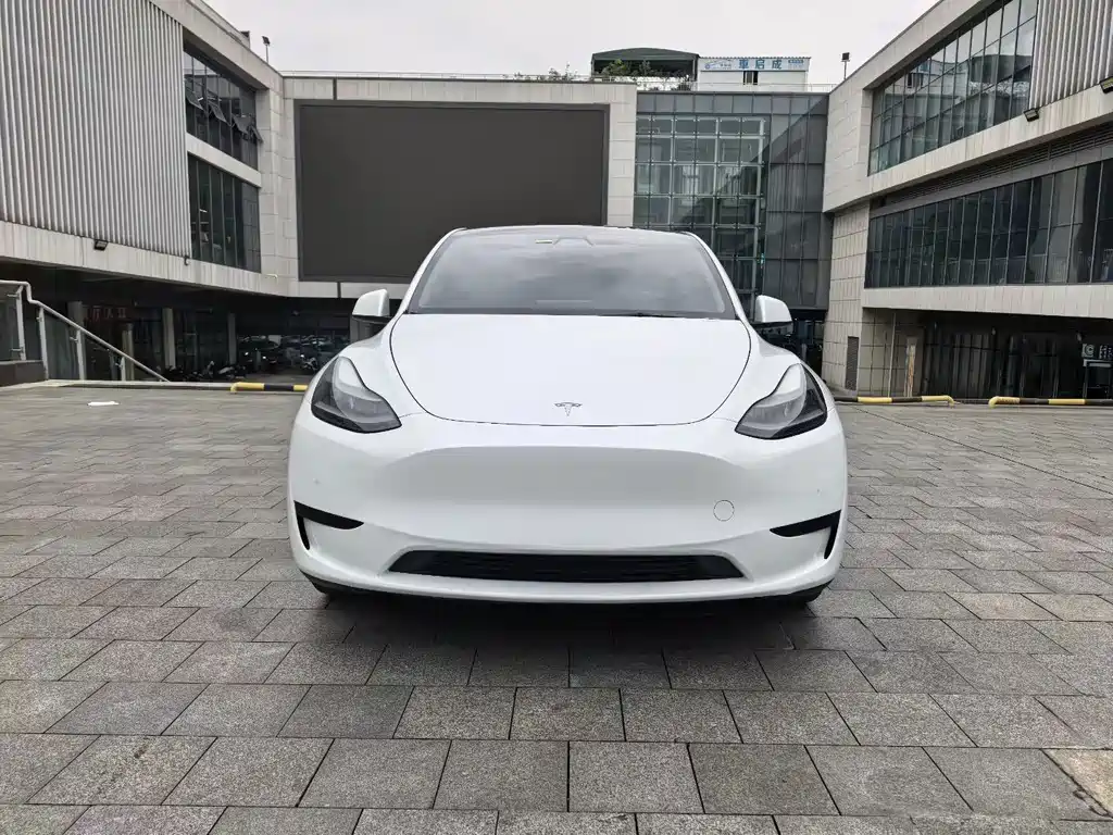 Tesla Model Y — миниатюра 2