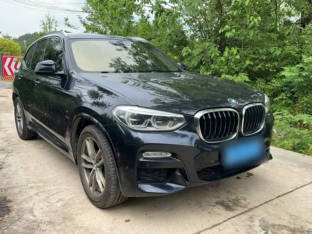 BMW X3 2018 xDrive25i M Sport VI