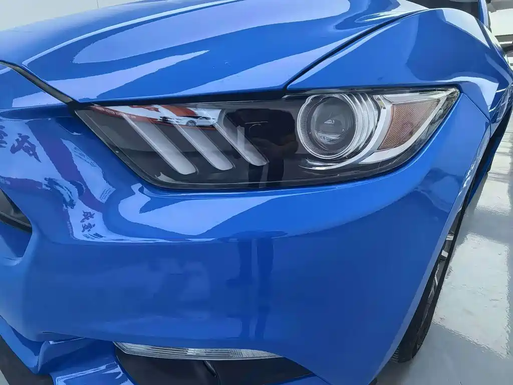 Ford Mustang — миниатюра 17