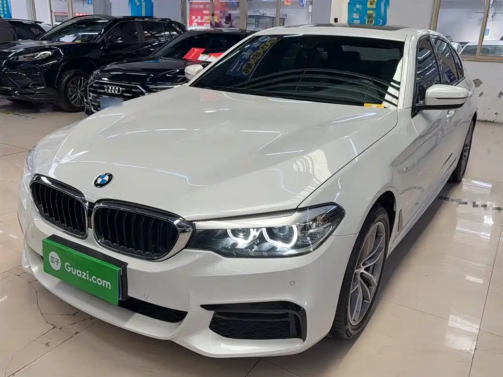 BMW 5 Series 2019