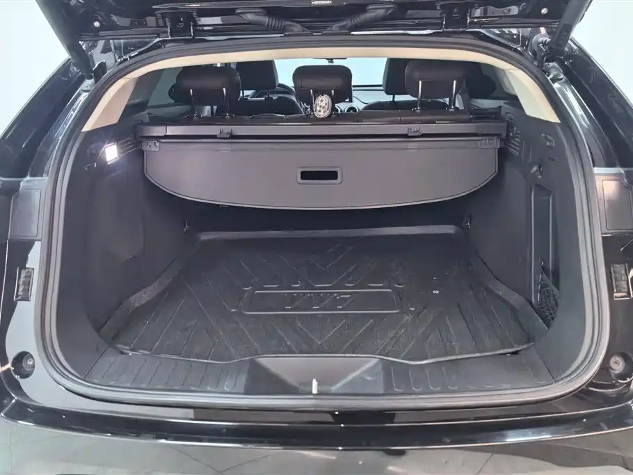 WEI PAI WEI BRAND VV7