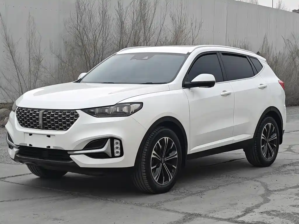 Wey Wey VV6 2021