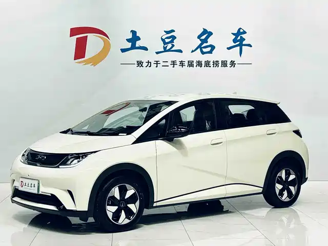 2026 BYD Dolphin