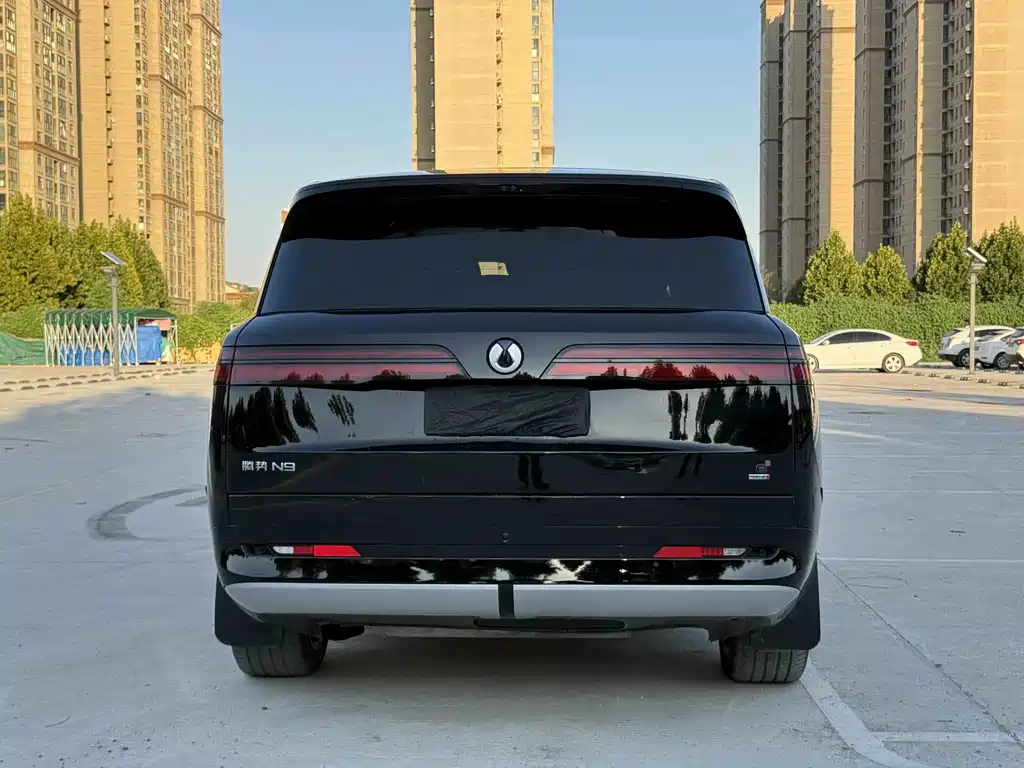 Denza Denza N9