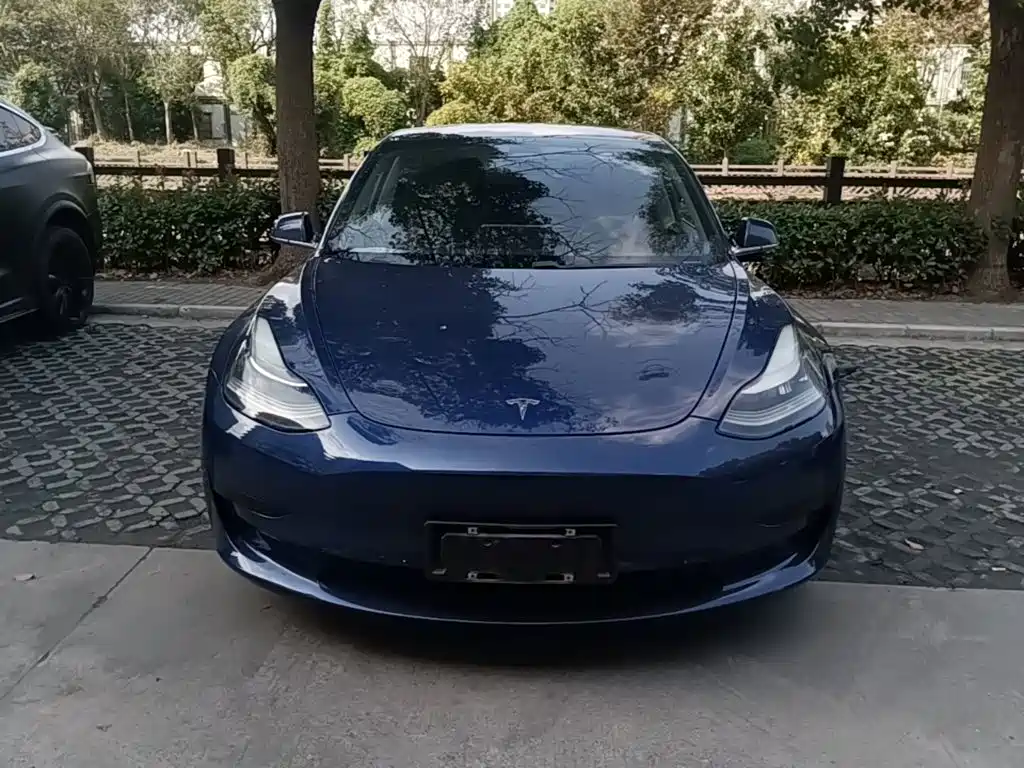 Tesla Model 3 — миниатюра 3