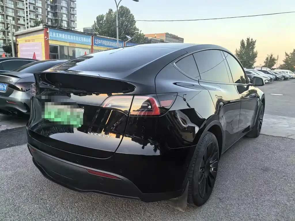 Tesla Model Y — миниатюра 3