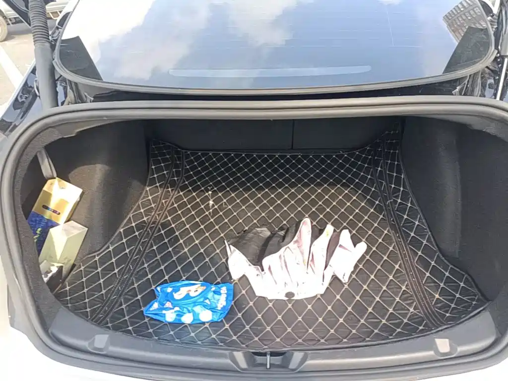 Tesla Model 3 — миниатюра 19