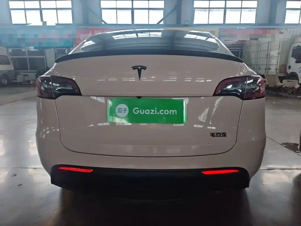 Tesla Model Y — миниатюра 6