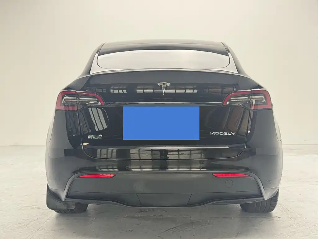 Tesla Model Y — миниатюра 8