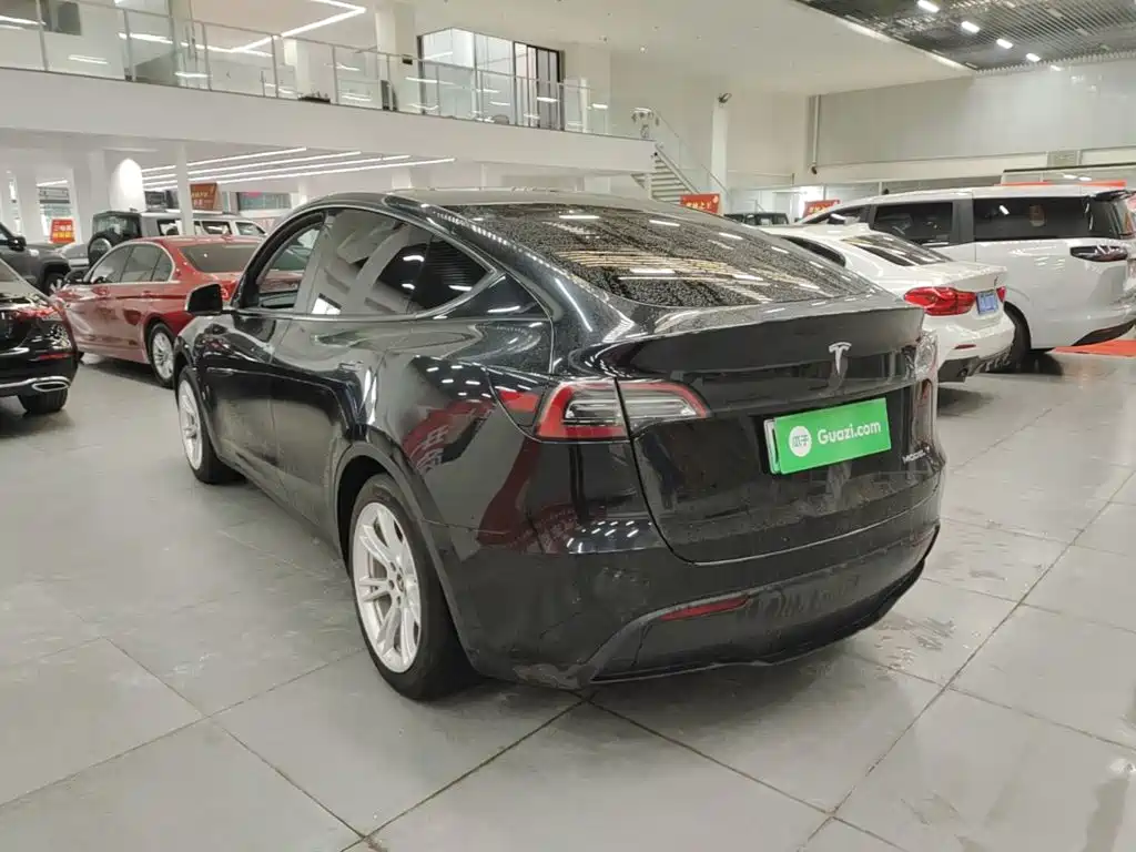Tesla Model Y — миниатюра 5