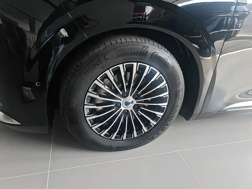 Denza Denza D9 — миниатюра 23