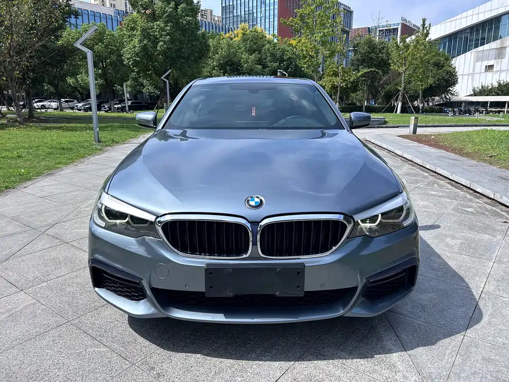 BMW 5 Series (Import) — миниатюра 2