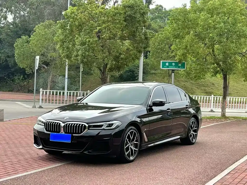 BMW 5 SERIES