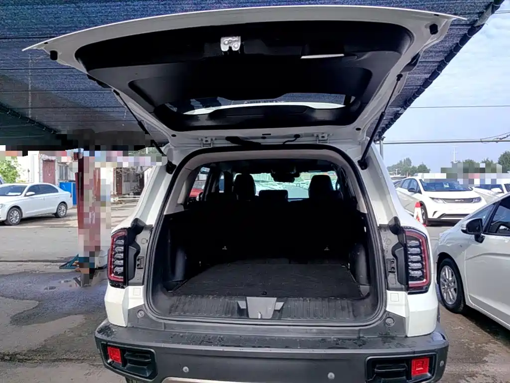 Haval Big Dog — миниатюра 19