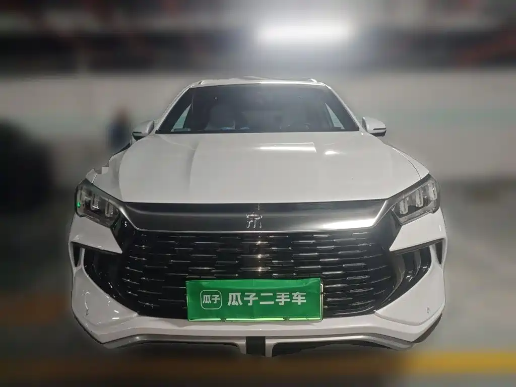 BYD Pro New Energy — миниатюра 2