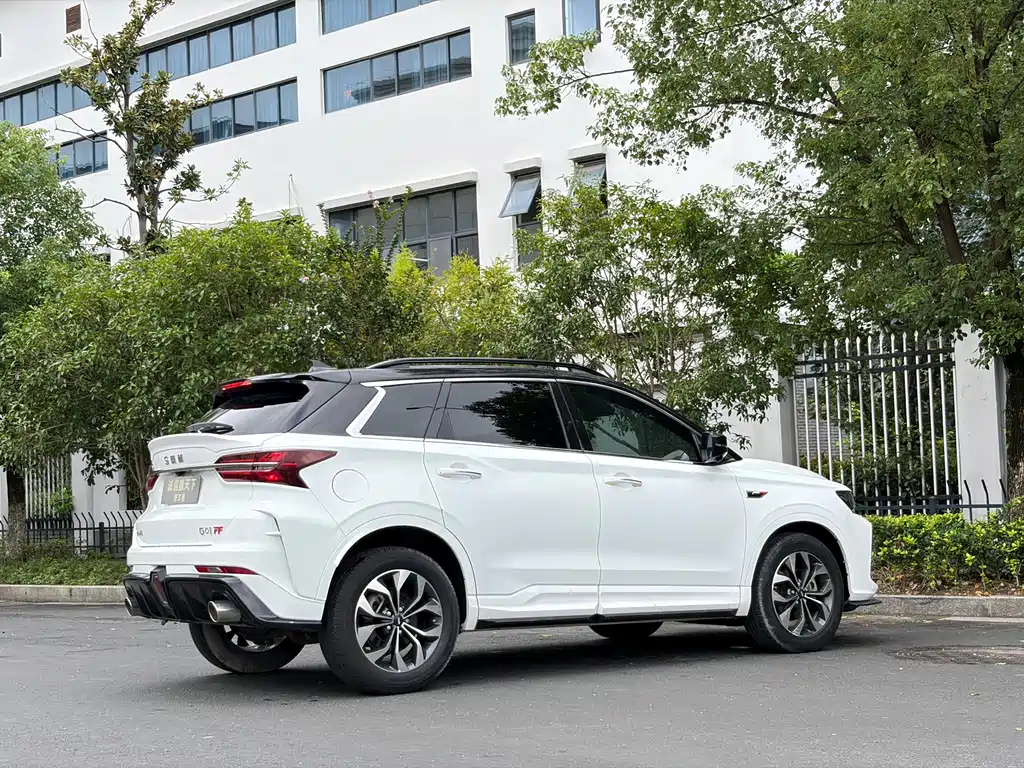 SWM SWM G01 — миниатюра 7