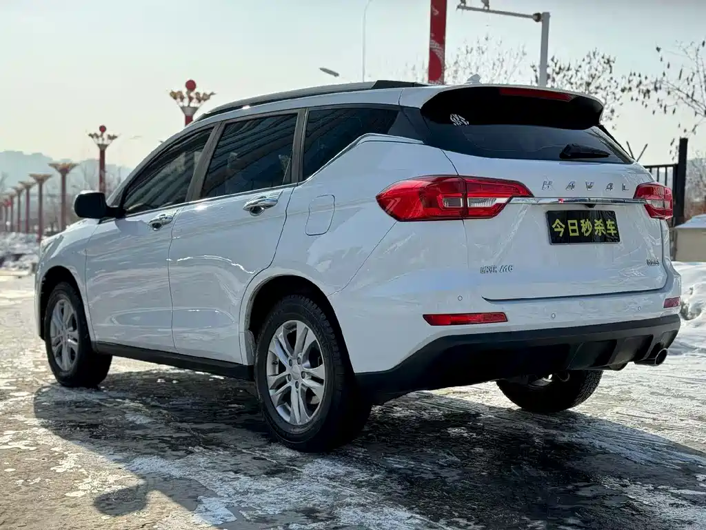 HAVAL M6