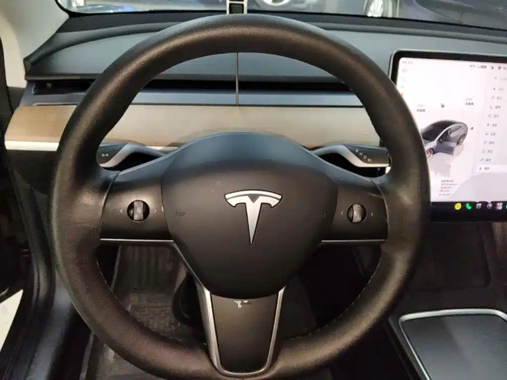 Tesla Model 3 — миниатюра 11