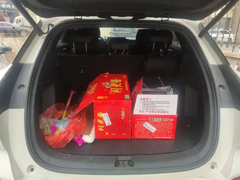 BYD SEA LION 06 NEW ENERGY