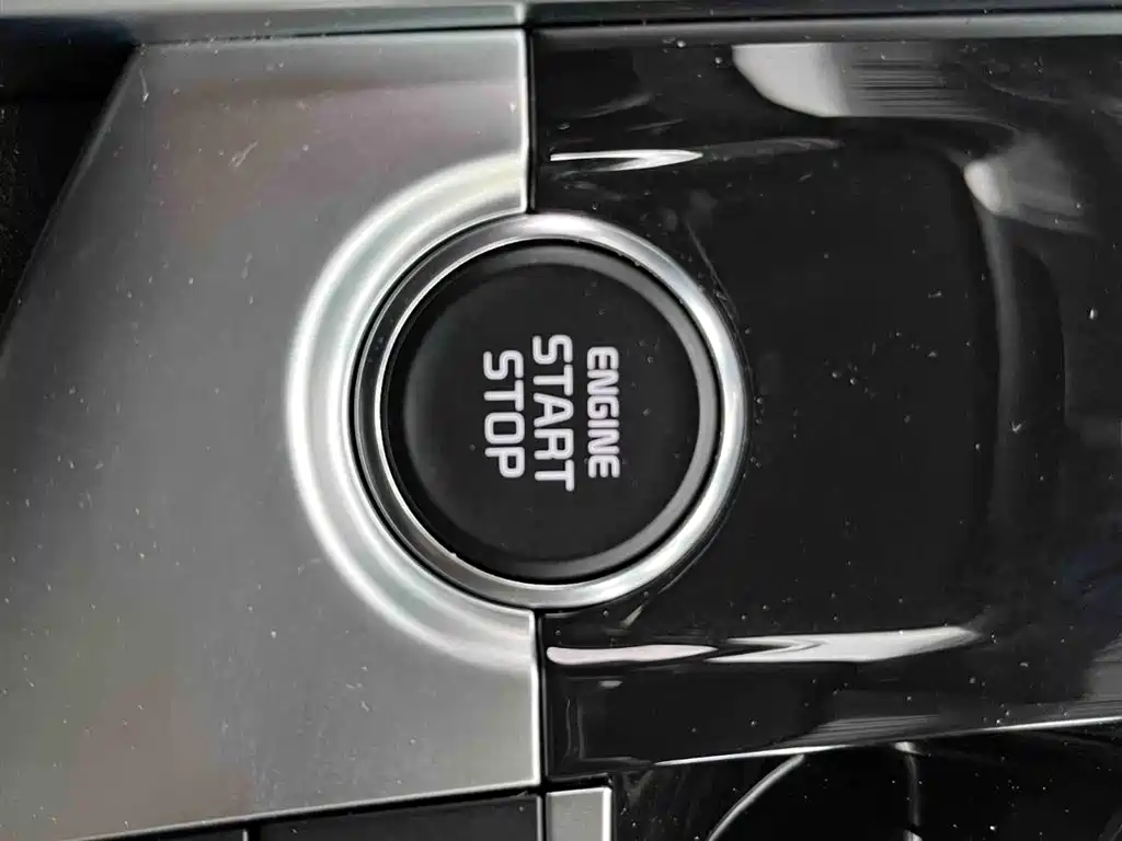 KIA LION PLATINUM EXPANDS THE WORLD