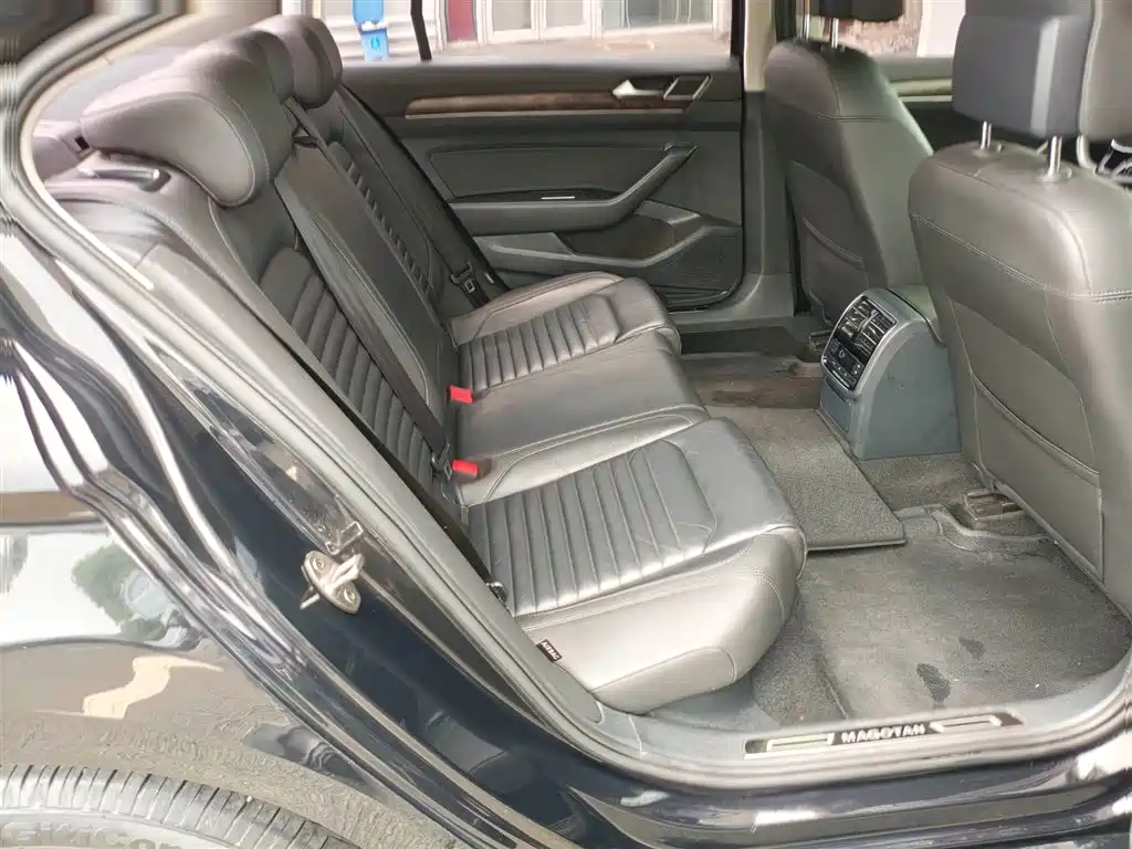 Volkswagen Magotan 2019 330TSI DSG Luxury V