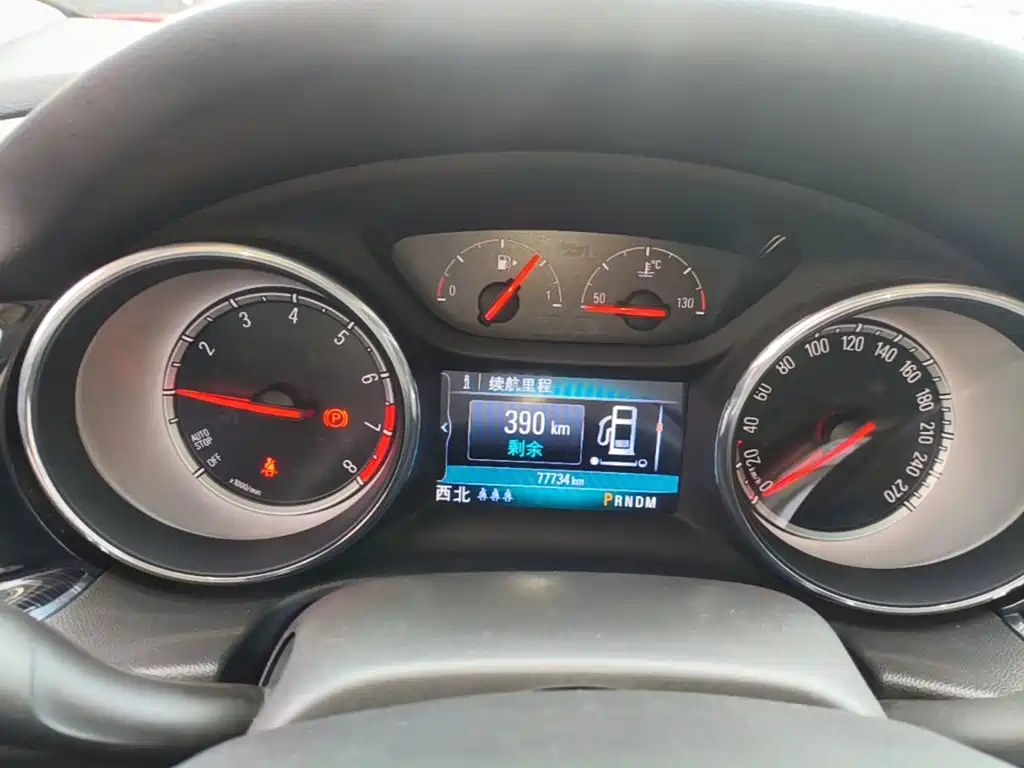 Buick Regal — миниатюра 12
