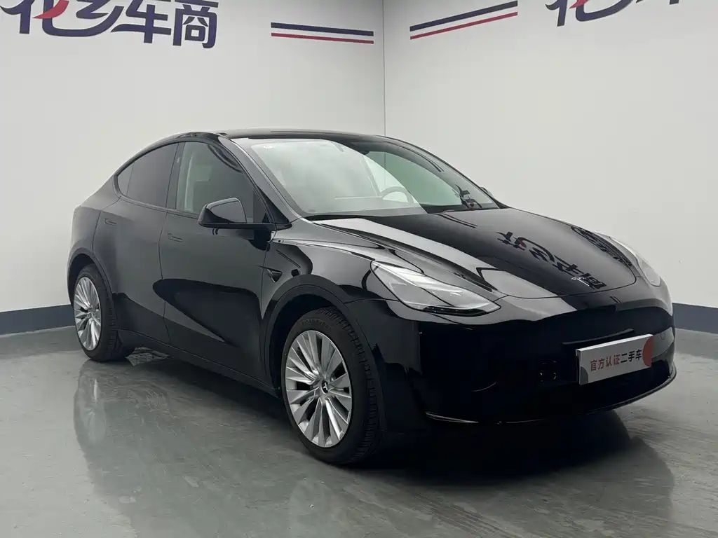 Tesla Model Y — миниатюра 3