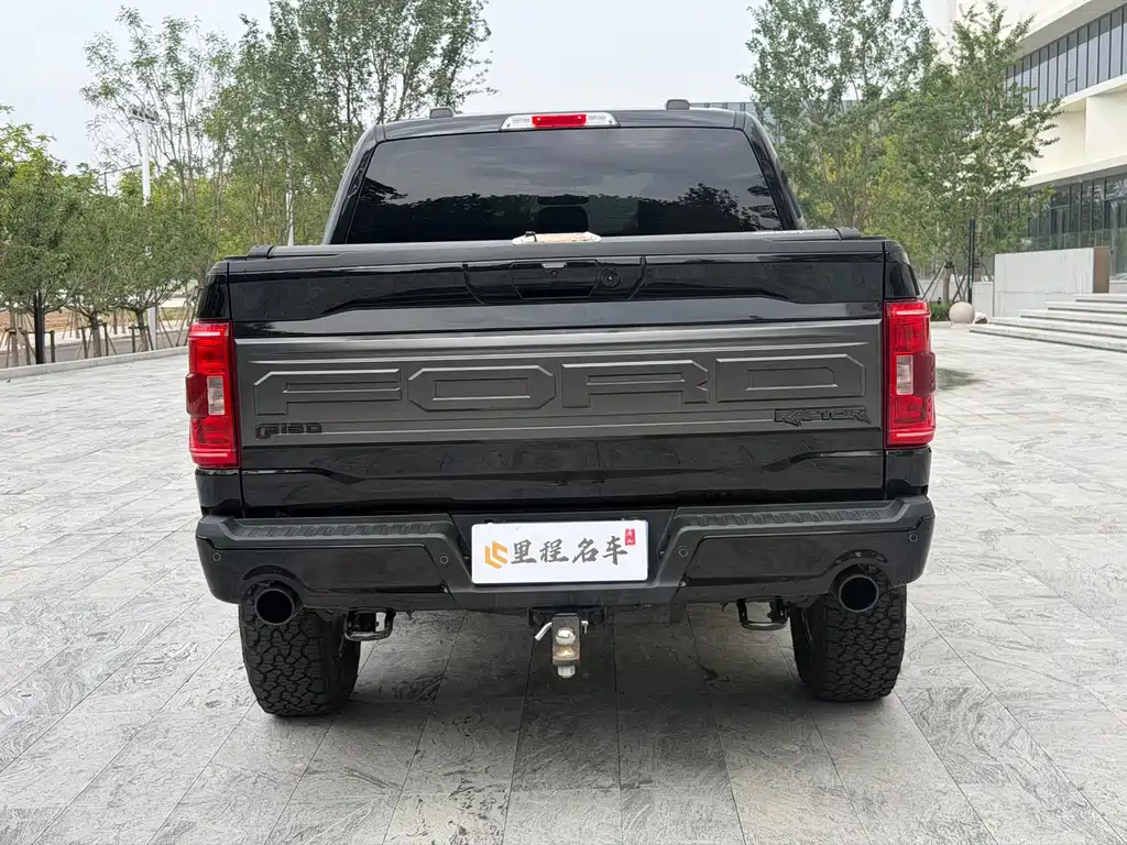 Ford F-150 Raptor — миниатюра 6