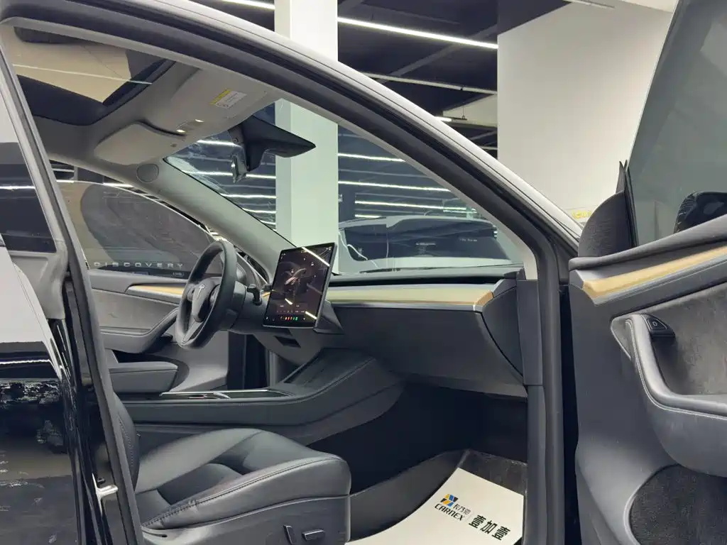 Tesla Model Y — миниатюра 10