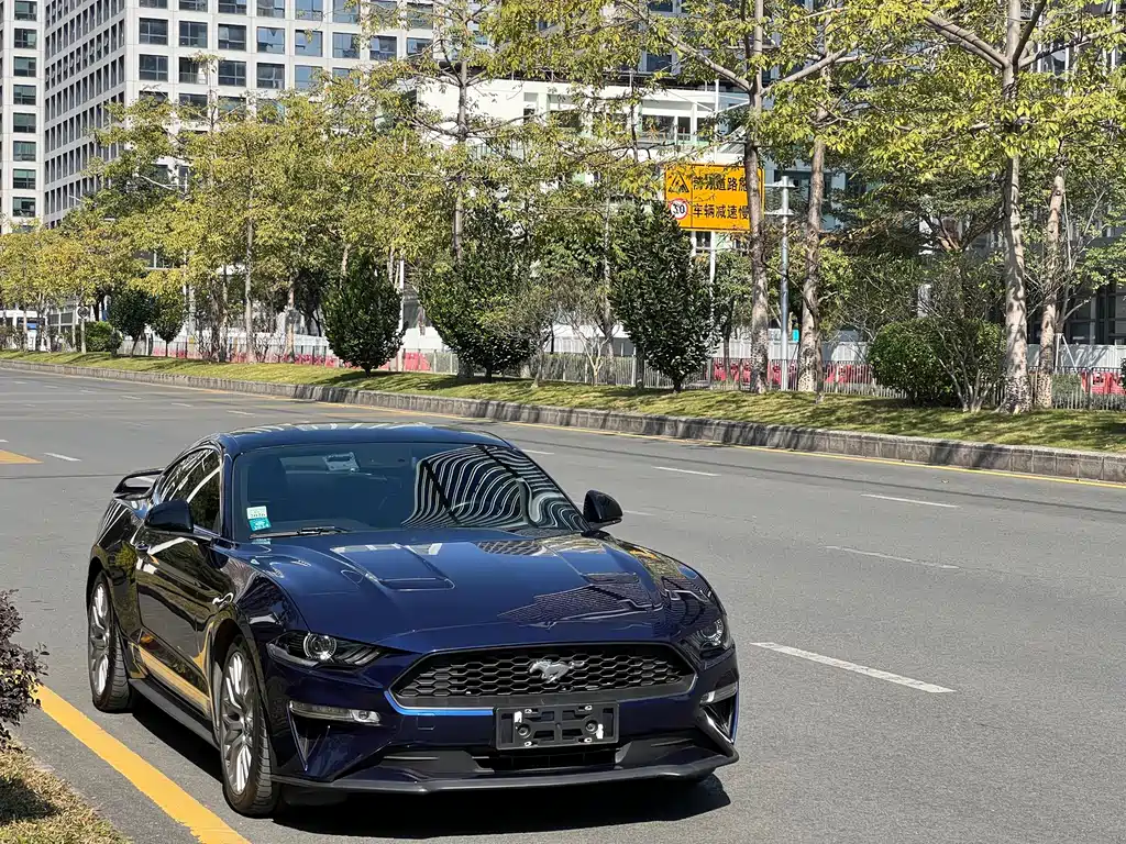 Ford Mustang — миниатюра 3