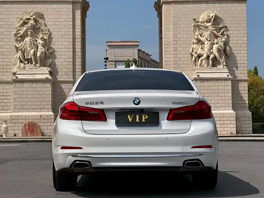 BMW 5 Series 5 2020 525Li Luxury