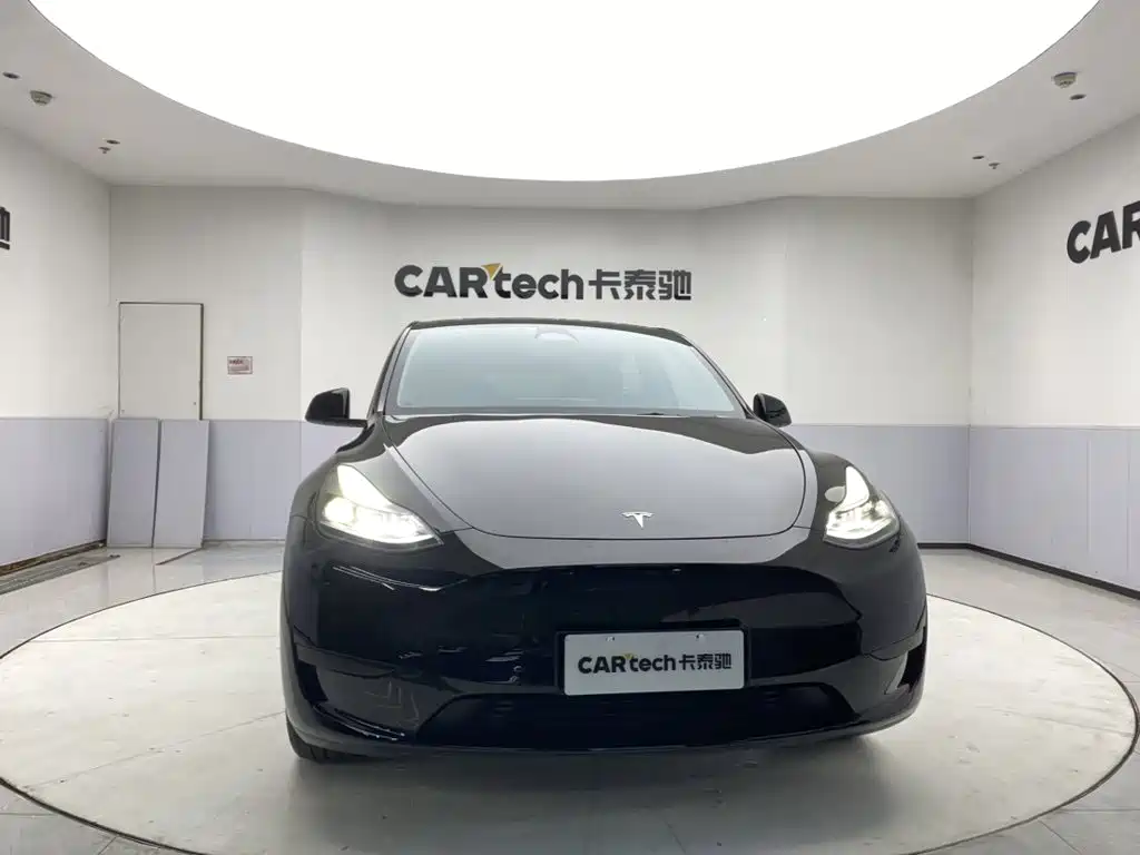 Tesla Model Y — миниатюра 3