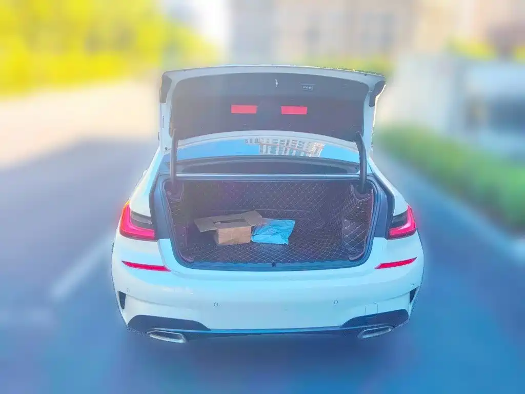 BMW 3 Series — миниатюра 15
