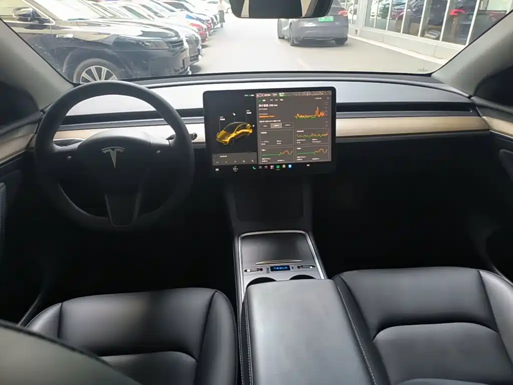 Tesla Model Y — миниатюра 10
