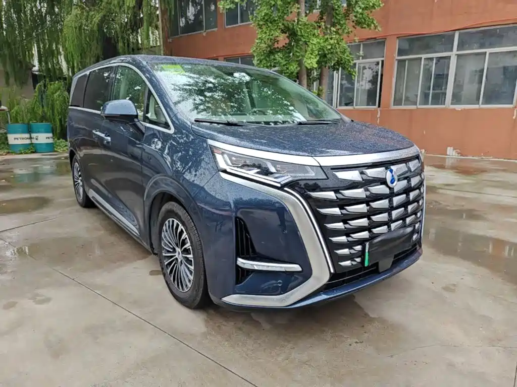 Denza Denza D9 — миниатюра 4