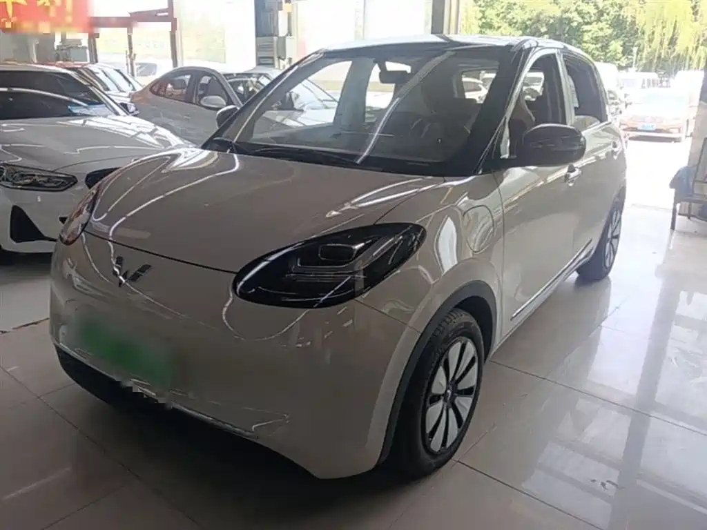 Wuling Bingo 2024