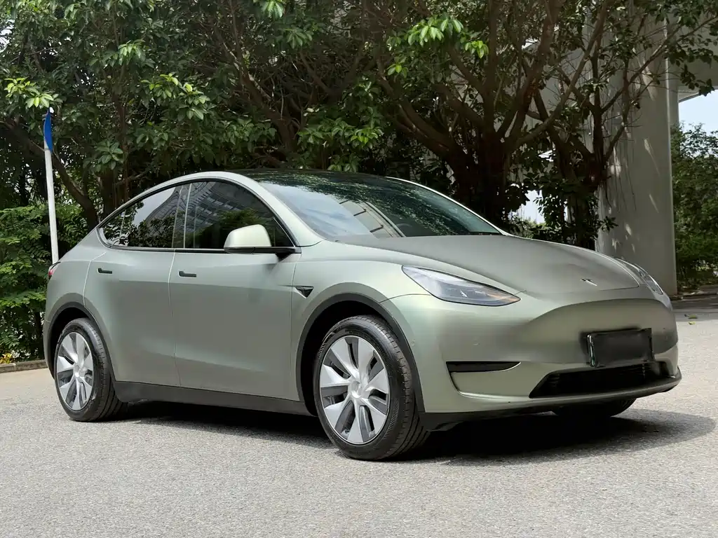 Tesla Model Y — миниатюра 2