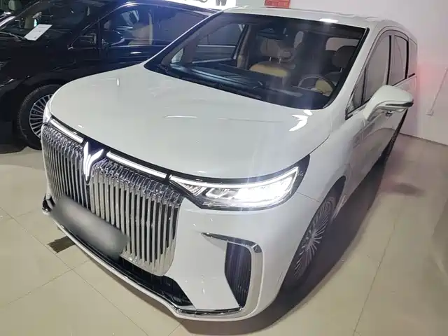 2025 Voyah Dream