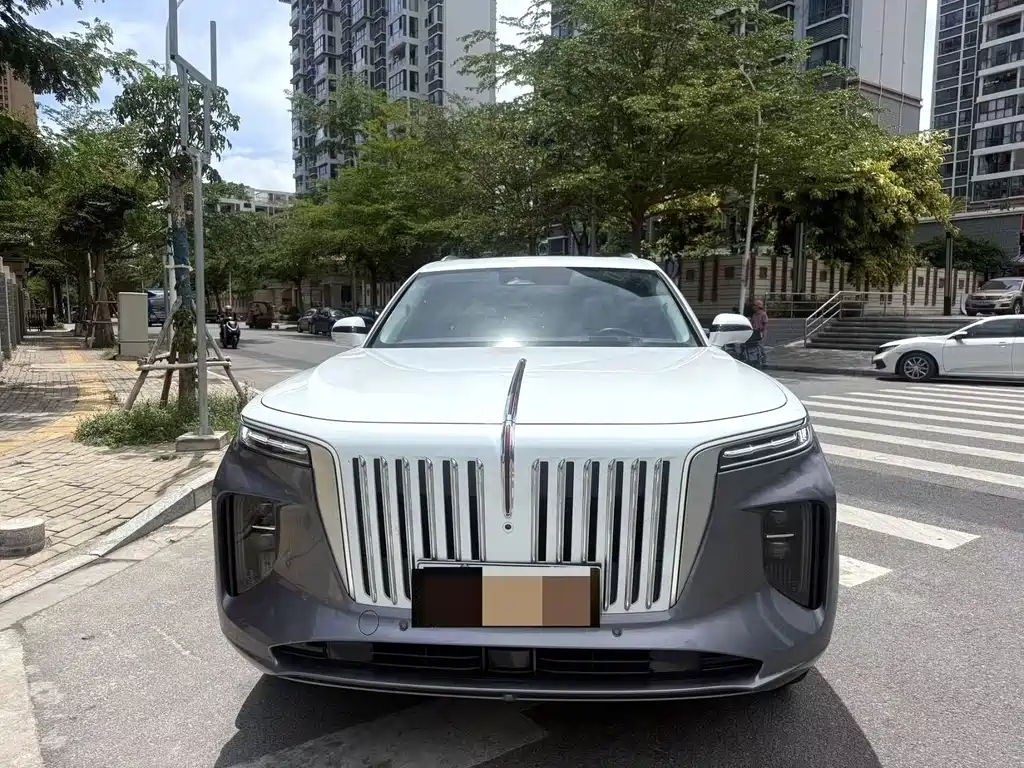 Hongqi Hongqi E-HS9 — миниатюра 2