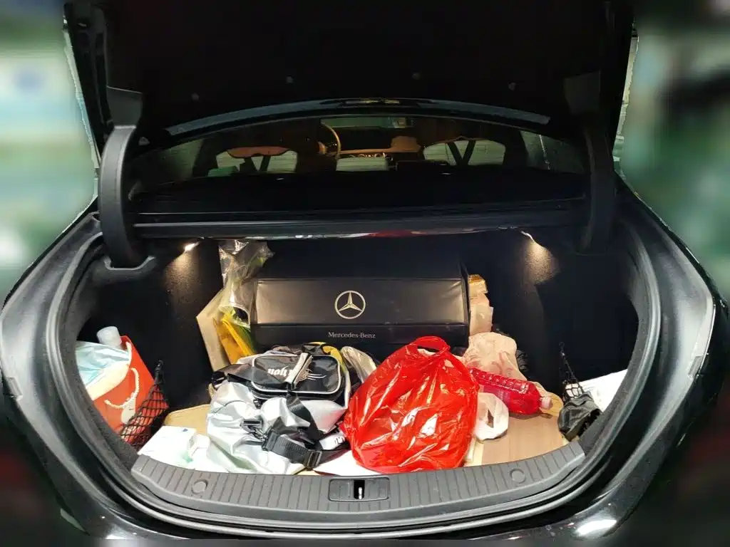 Mercedes-Benz S-Class — миниатюра 20