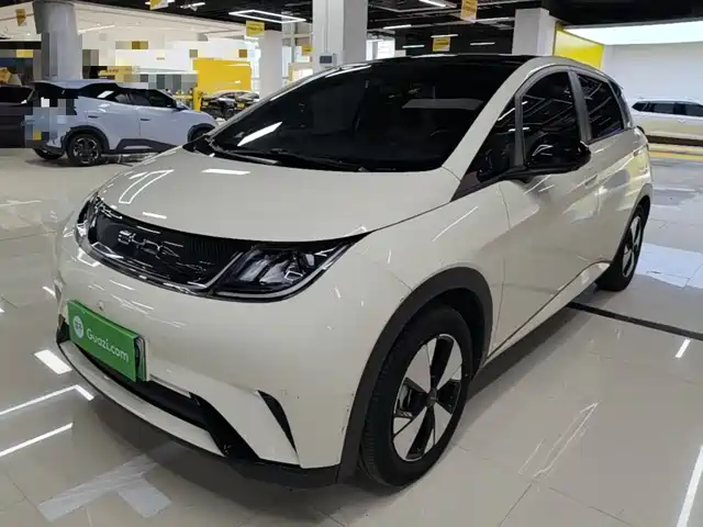 2024 BYD Dolphin