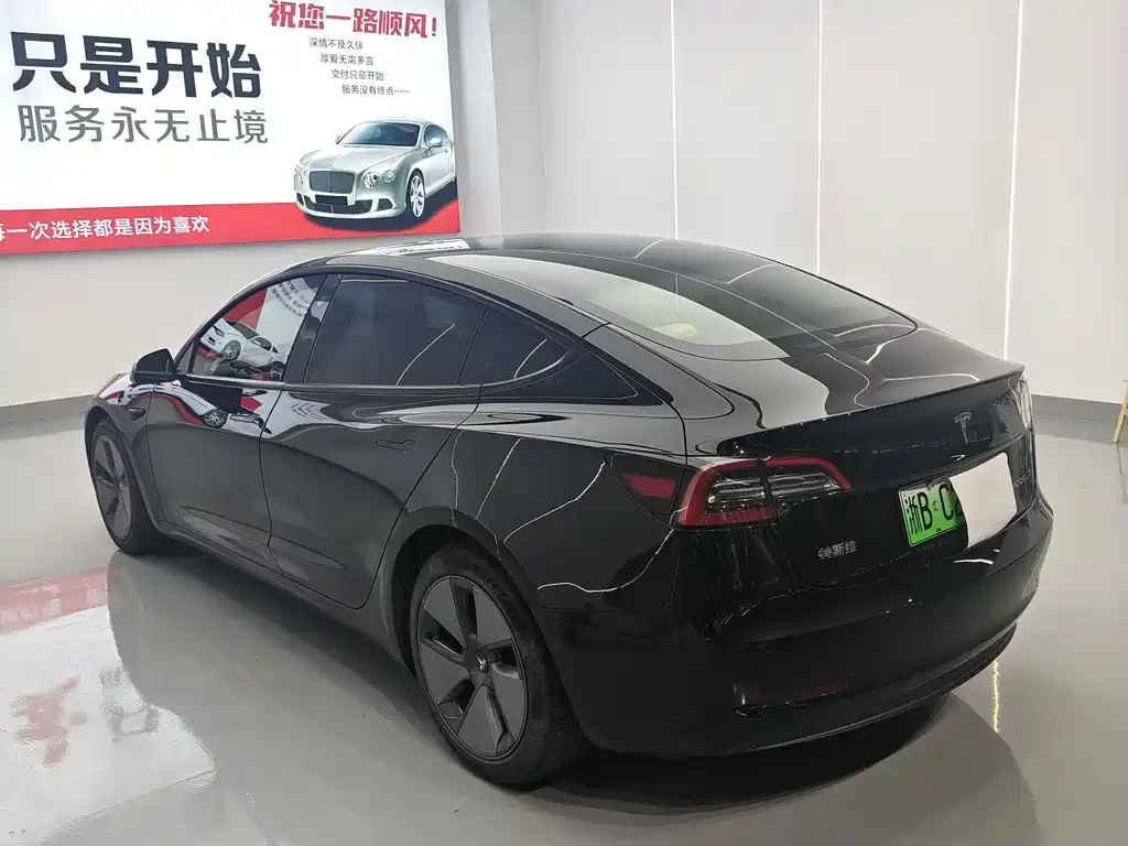 Tesla Model 3 — миниатюра 5