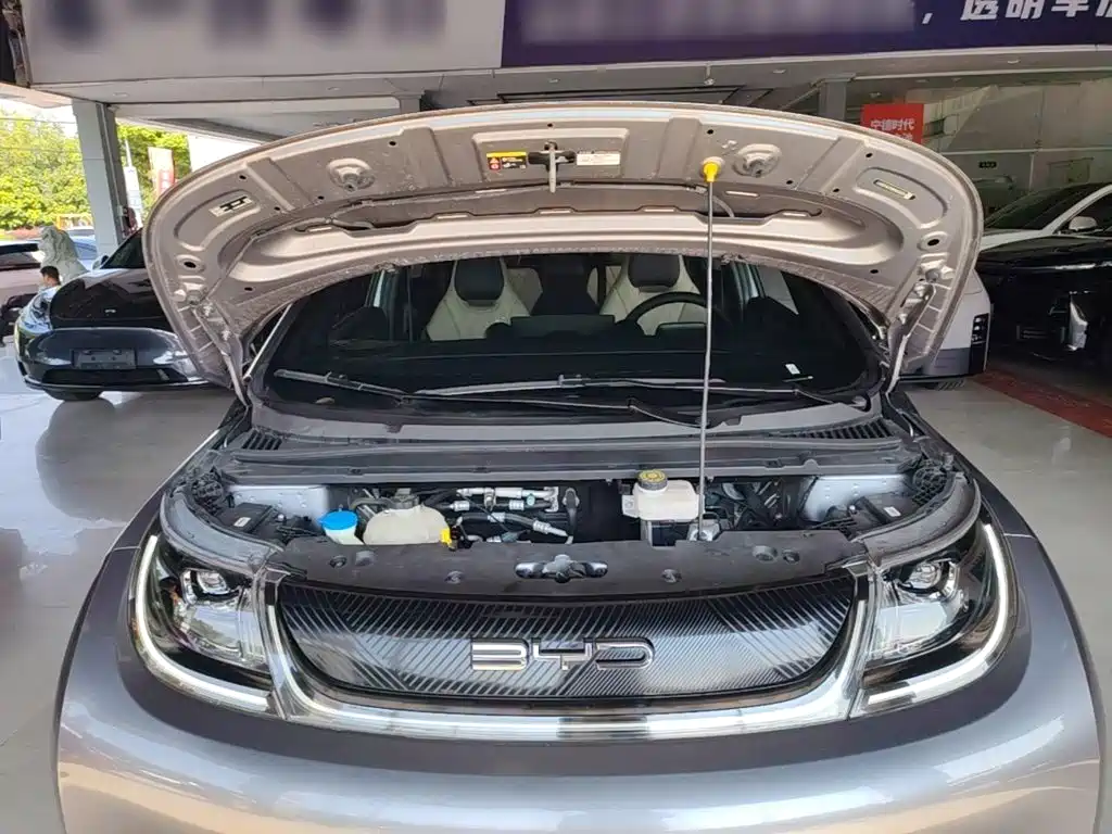 BYD Dolphin — миниатюра 20